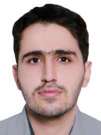 دکتر مهدی  روحانی 