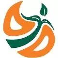  روانشناسی کلبه هنر زندگی