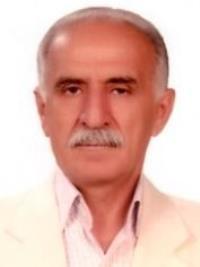 دکتر خلیل حمزه دوست