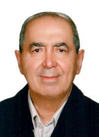 دکتر صادق  ربیعی جاه