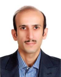 سید ناصر زکوی 