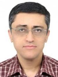دکتر مهدی  روضاتی 