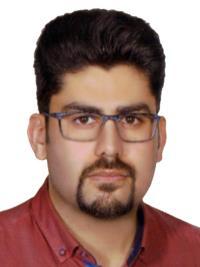 دکتر حمید ابراهیم پور