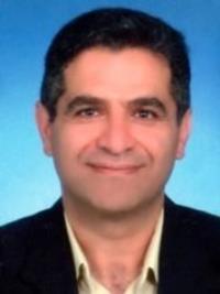 دکتر محمد اسماعیل حجازی