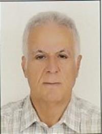 دکتر مهدی  خراسانی 