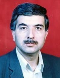 دکتر محمدرضا  محمودی 